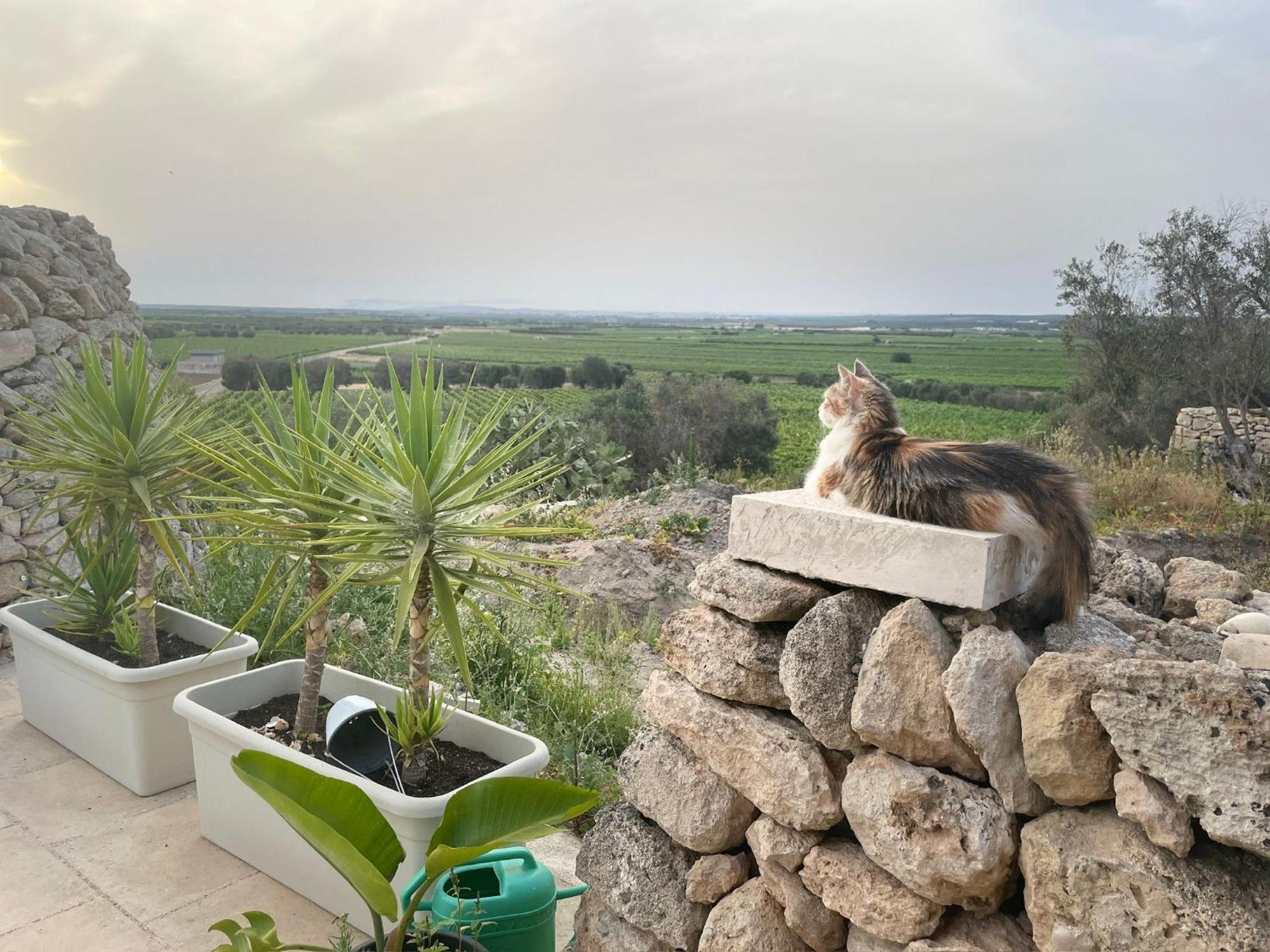 B&B Borgo Monacizzo מראה חיצוני תמונה